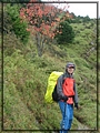 2011-11-08 09-56-50回滑雪中心登山口途中.JPG